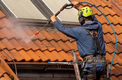 Démoussage et hydrofuge de toiture au Castellard-Mélan